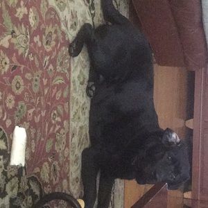 Meet your Posher, Michelle